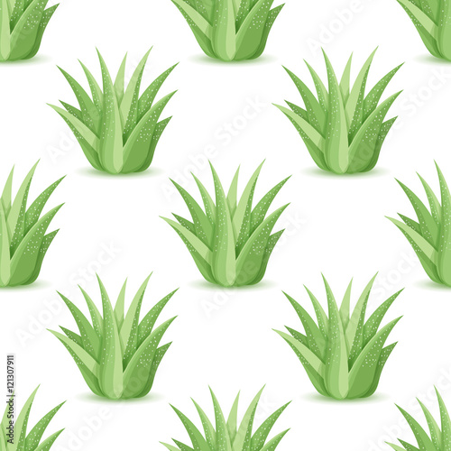Agave - seamless pattern with desert plants. Nature floral background with green succulent leaf. Wallpaper with plantation of aloe. Vector illustration