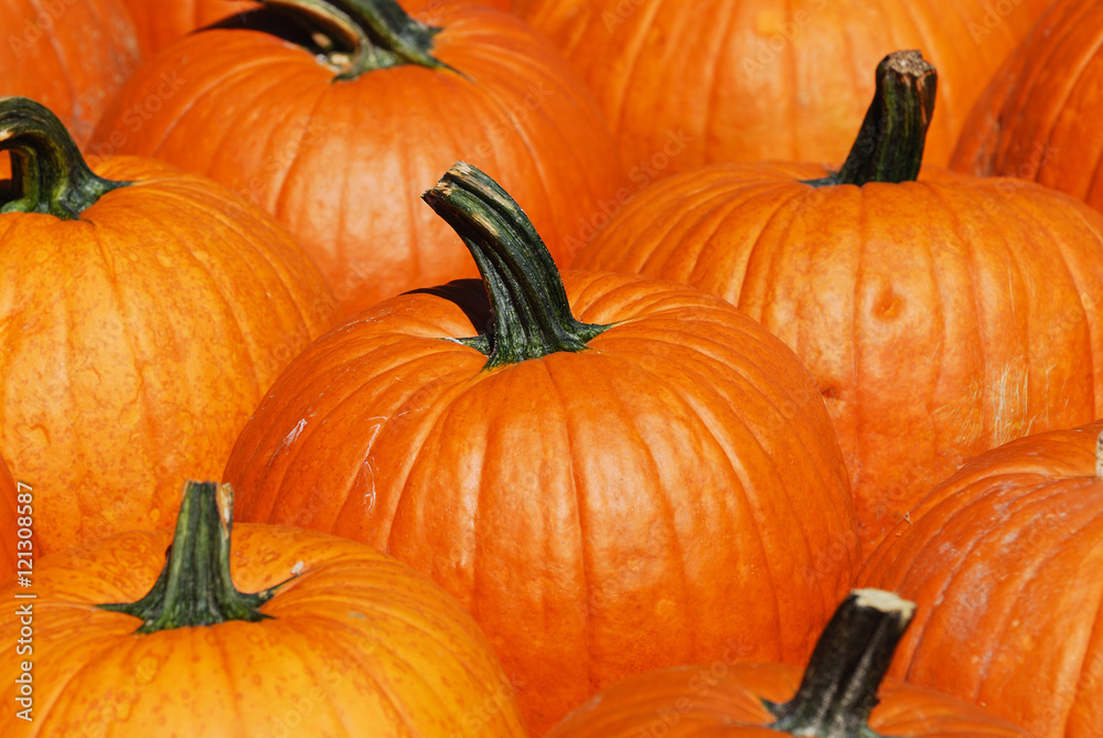 pumpkin background