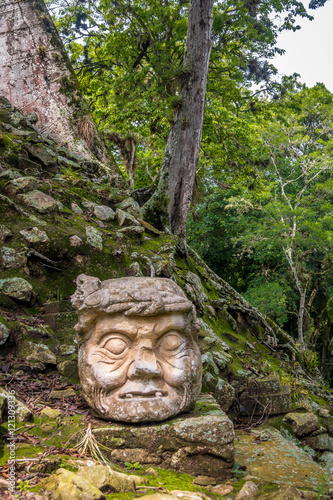 Carved old man head at Mayan Ruins - Copan Archaeological Site, Honduras © diegograndi