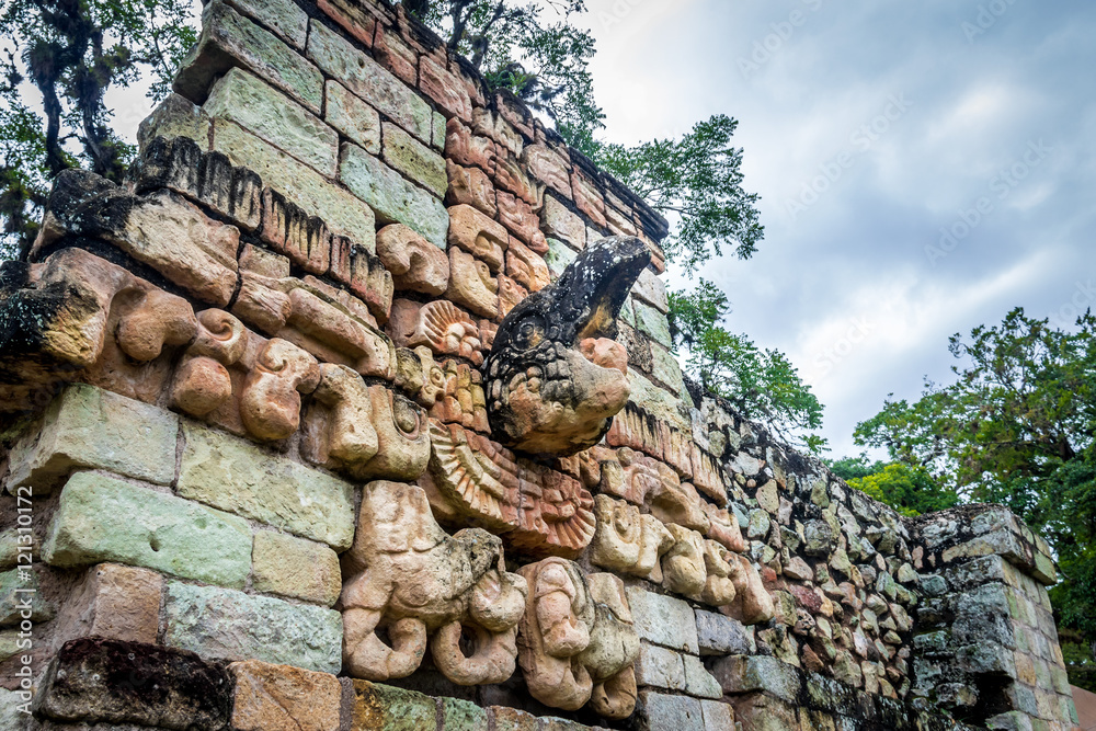 Φωτογραφία Carved Macaw in the Ball Court of Mayan Ruins - Copan Archaeological Site, Hondu