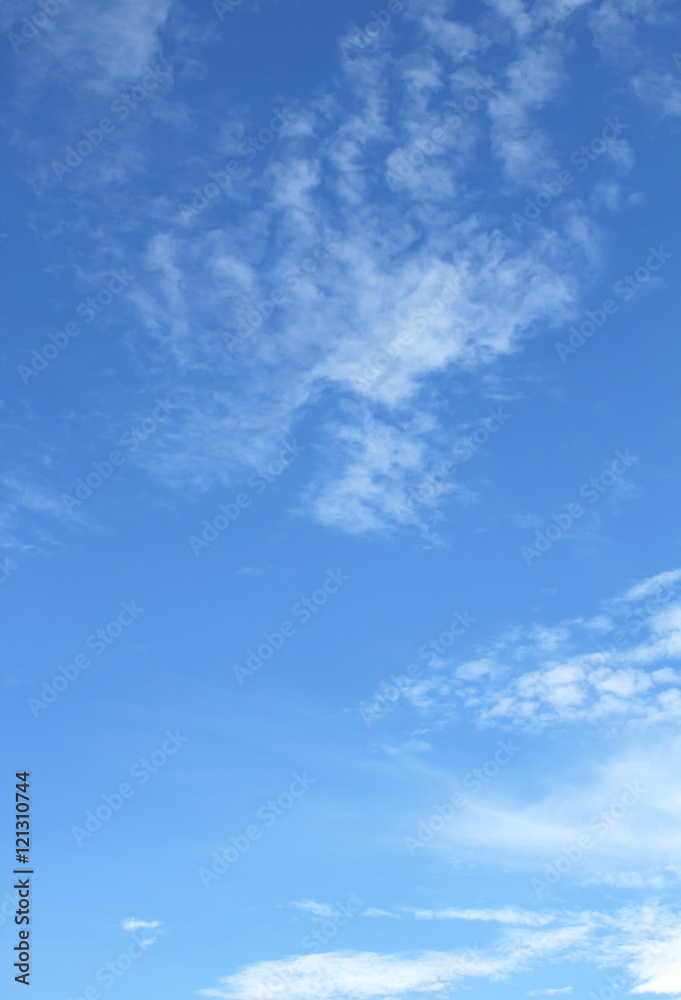 Fototapeta premium blue sky