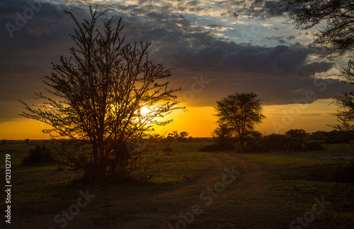 Serengeti Sunset