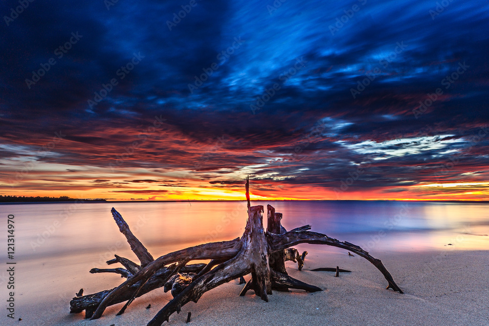 the landscape for the skies and sea