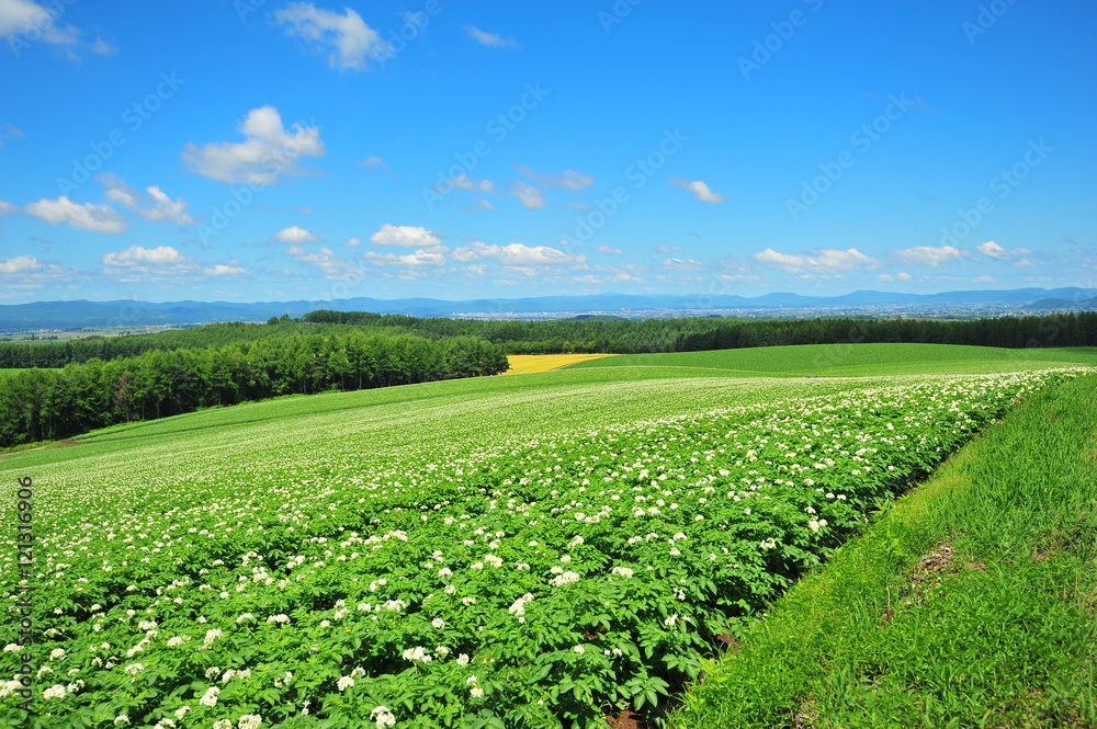 Landscapes of Countryside in Hokkaido, Japan Landscapes of Countryside in Hokkaido, Japan