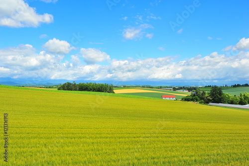 Landscapes of Countryside in Hokkaido, Japan