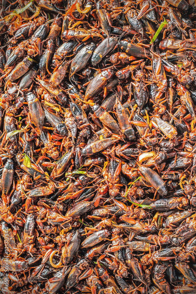 Fried crickets with background Fried crickets with background