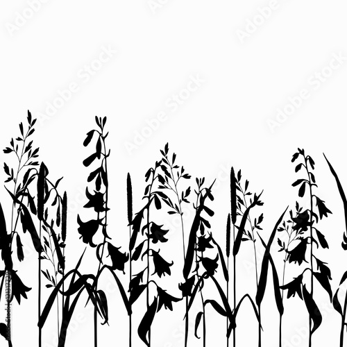 Fototapeta Naklejka Na Ścianę i Meble -  Silhouette grasses and wild flowers on white background. Hand drawn vector illustration.