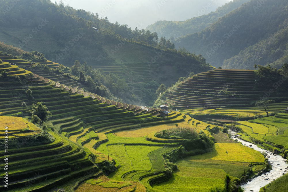 Rice fields on terraced of Mu Cang Chai, YenBai, Vietnam..