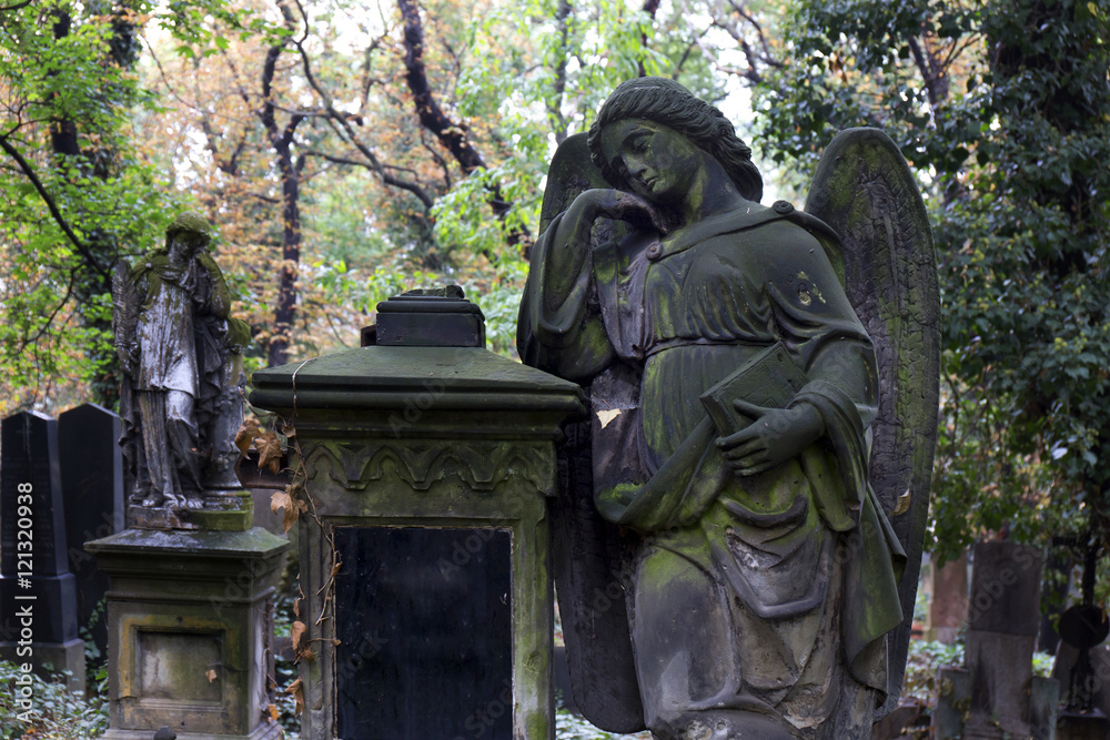 The Angel from the mystery old Prague Cemetery, Czech Republic The Angel from the mystery old Prague Cemetery, Czech Republic