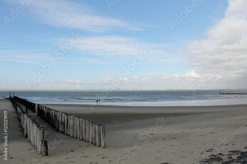 Zeeland coast with beach posts  Holland