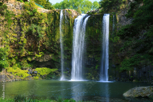 Whangarei Falls, New Zealand photo