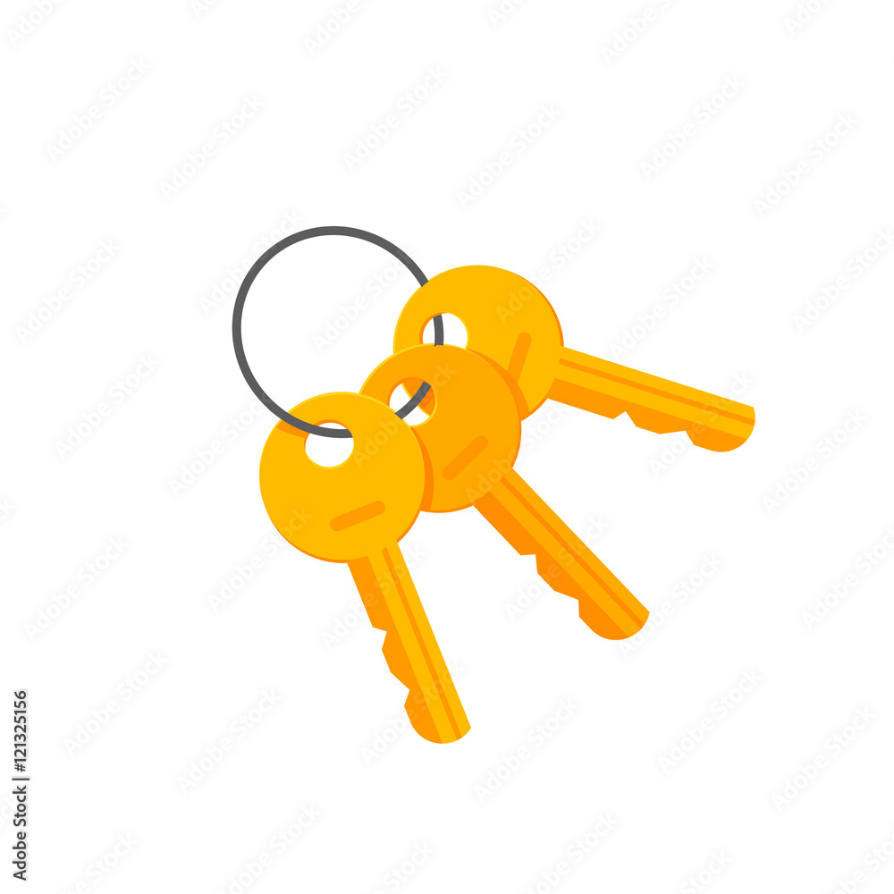 Keys door or padlock on key ring vector illustration isolated on white  background, bunch of golden keys on keyring flat cartoon style modern  design clipart Stock Vector | Adobe Stock
