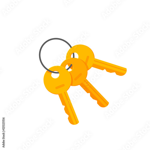 Keys door or padlock on key ring vector illustration isolated on white background, bunch of golden keys on keyring flat cartoon style modern design clipart photo
