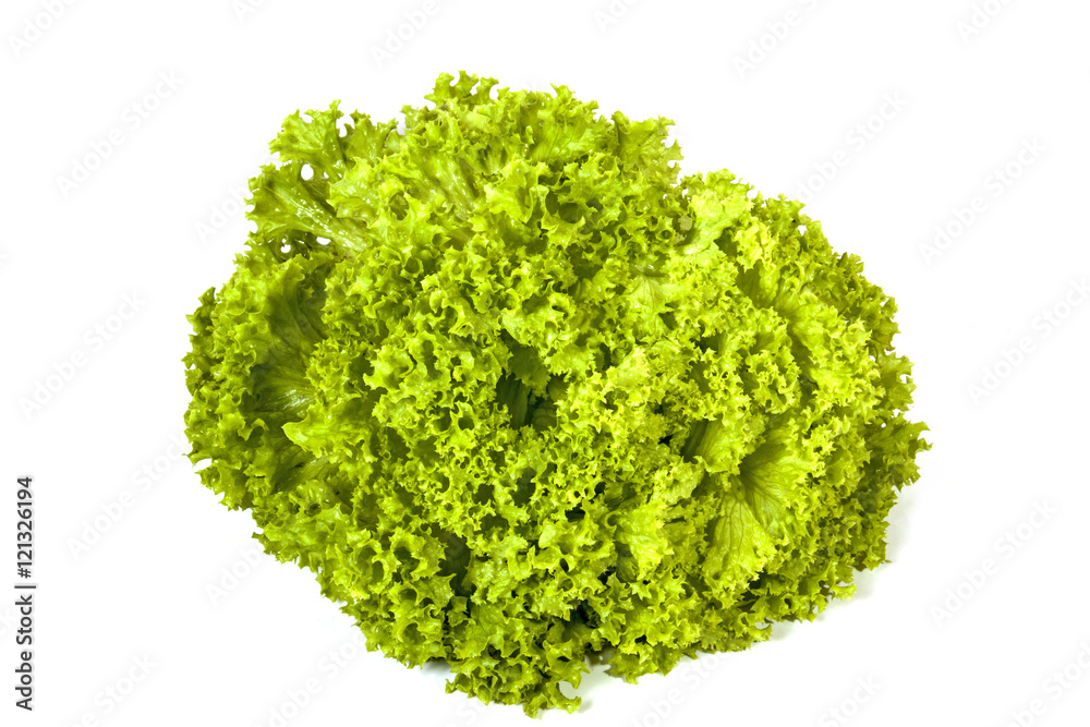 Green Leaves Patterns and Textures of Lettuce Plant Green Leaves Patterns and Textures of Lettuce Plant