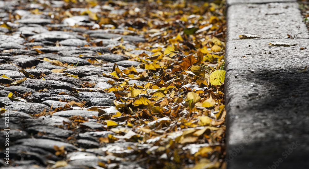 Fototapeta premium Autumn Street
