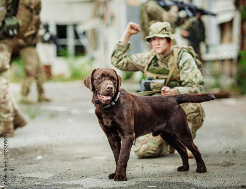 dog and a soldier looking at the enemy. war, anti terrorism photo