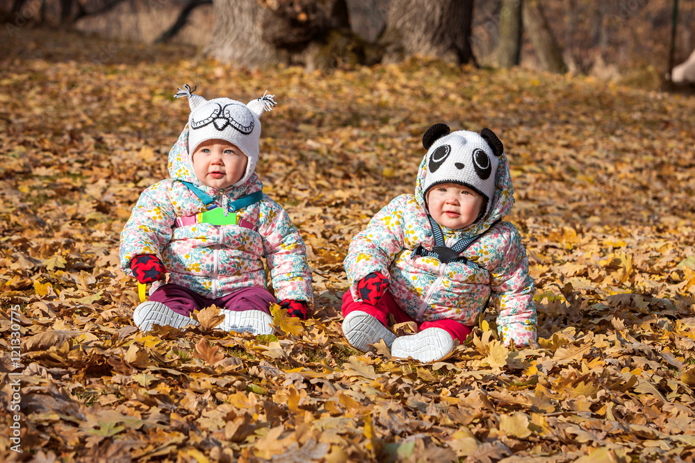 The two little baby girls sitting in autumn leaves The two little baby girls sitting in autumn leaves