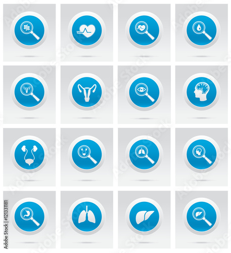 Internal organ illustrations. Set of medical icons.