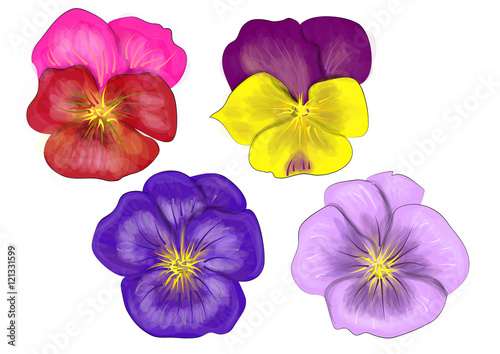 set of pansy