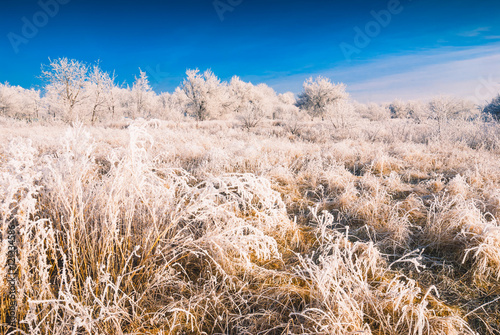 Hoar frost valley_1