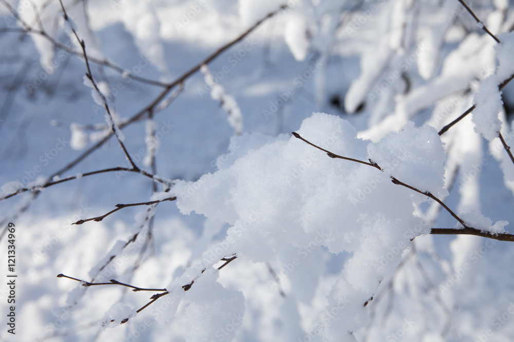 snow landscape