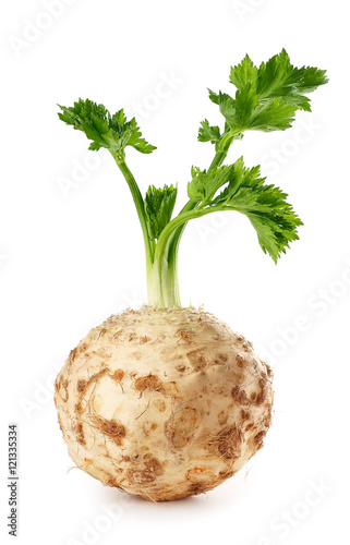 celery root isolated on white background