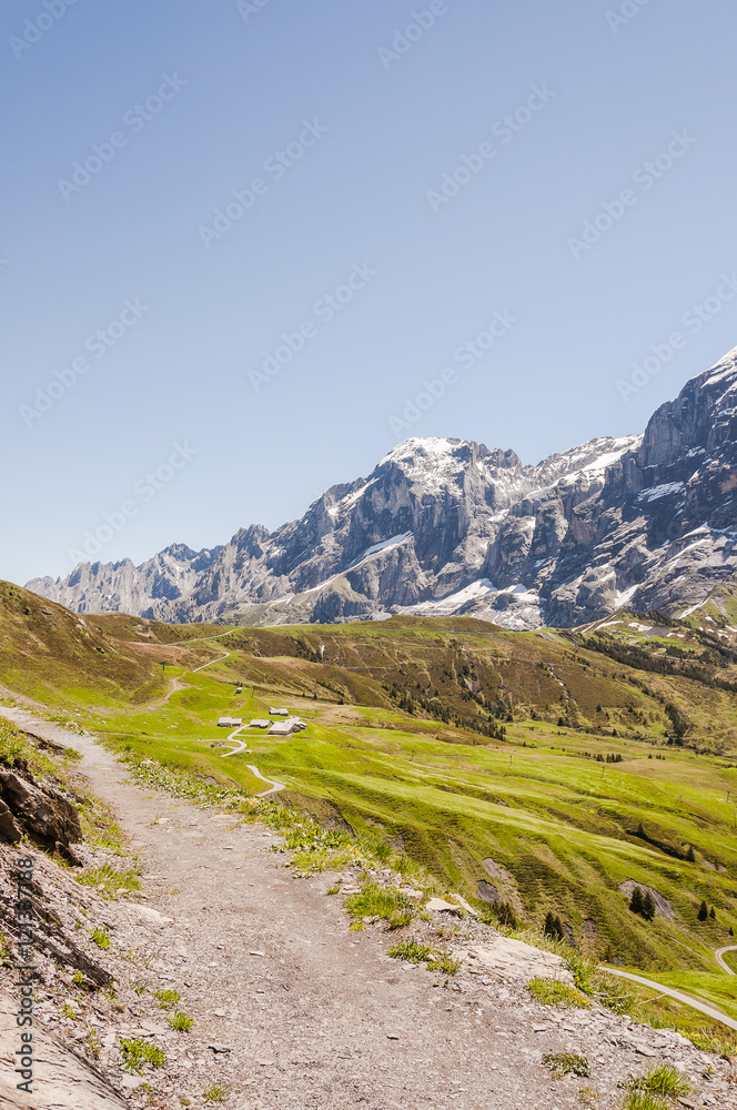 Grindelwald, Berner Oberland, Alpen, First, Wetterhorn, Grosse Scheidegg, Wanderweg, Alm, Wanderferien, Sommer, Schweiz