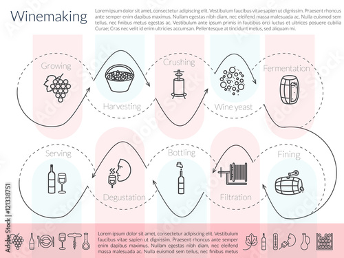 line winemaking infographic photo