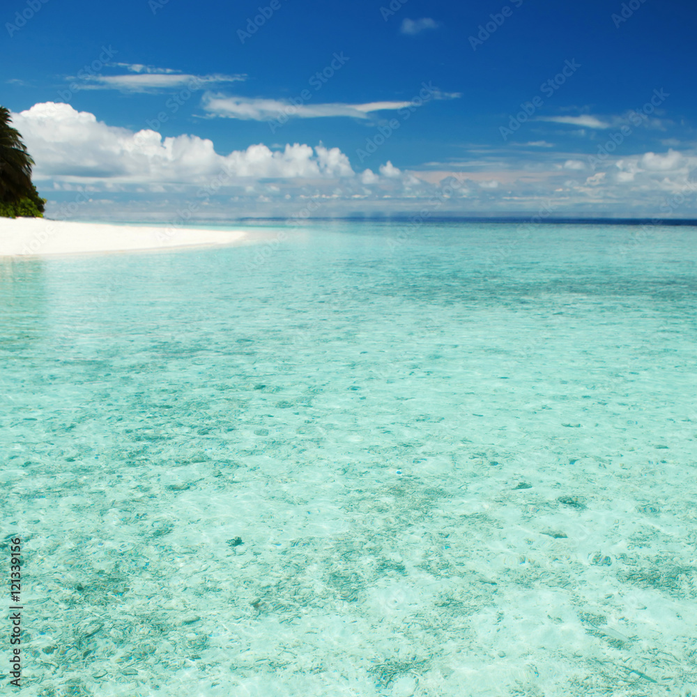 tropical beach tropical beach