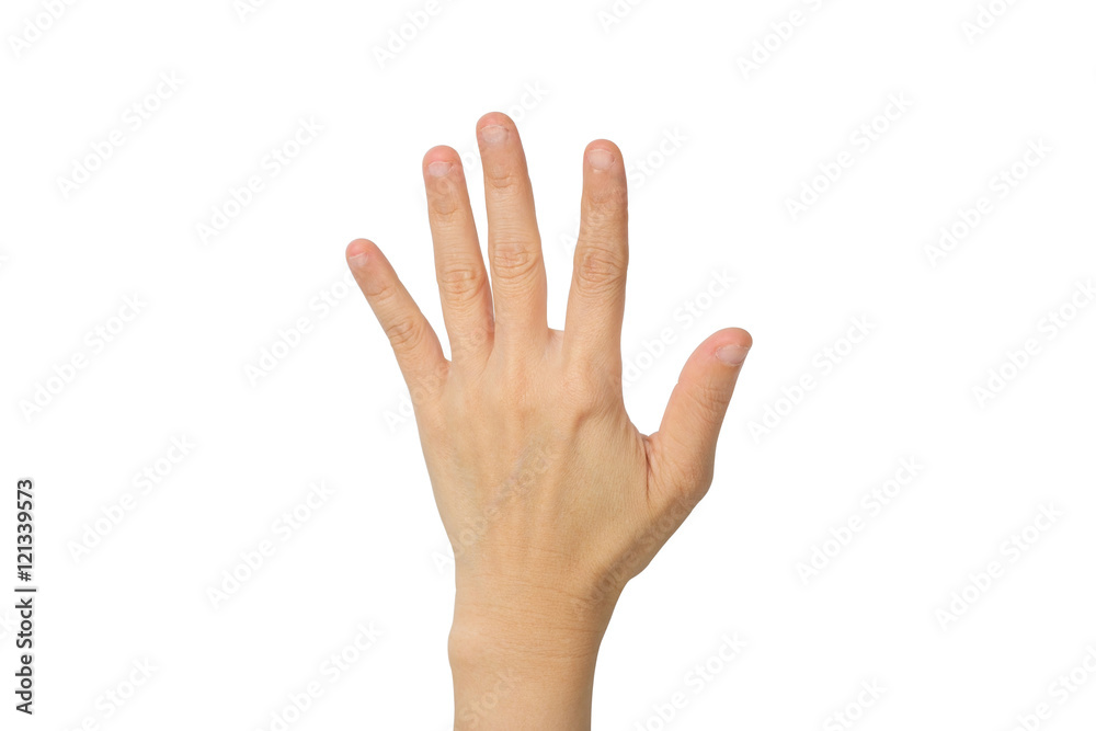 hand showing the five fingers hand showing the five fingers