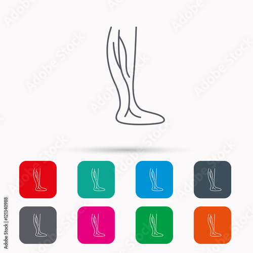 Phlebology icon. Leg veins sign.