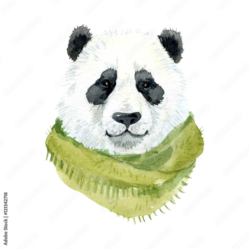 Obraz premium Panda bear wearing a scarf