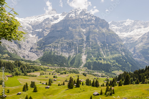 Grindelwald, Dorf, Schreckhorn, Alpen, Grindelwaldgletscher, First, Schweizer Berge, Berner Oberland, Wanderweg, Bergwiesen, Sommer, Schweiz