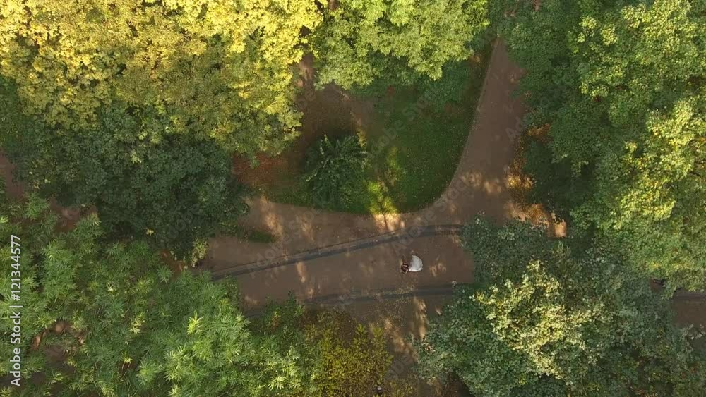 Aerial Video Newlyweds are Circling in the Dance Through the Trees 4k uhd Aerial Video Newlyweds are Circling in the Dance Through the Trees 4k uhd