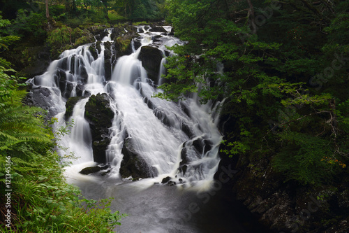 Beautiful Swallow falls