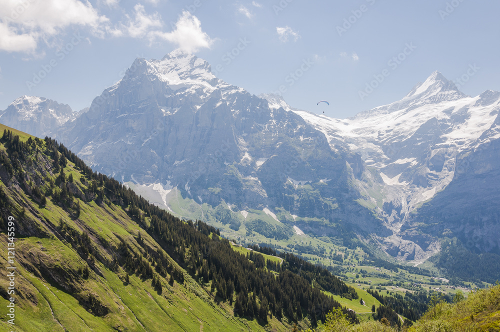 Grindelwald, Dorf, Alpen, Wetterhorn, Schreckhorn, Grindelwaldgletscher, Wanderweg, First, Schreckfeld, Berner Oberland, Sommer, Schweiz