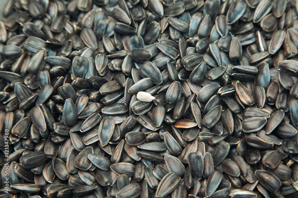 Closeup of fried sunflower seed with a peeled kernel Closeup of fried sunflower seed with a peeled kernel