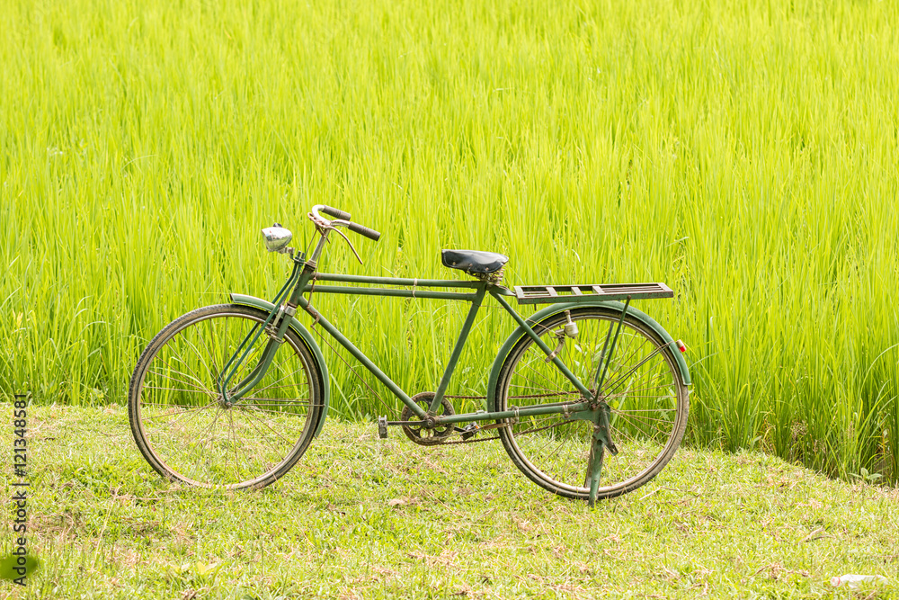 Old bike in farmland .