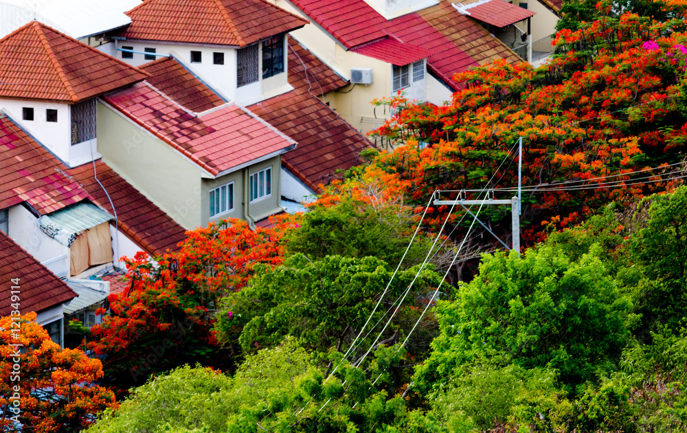 Red roofs on Pratumnak Hill Pattaya
