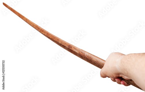 arm with Bokken - Japanese wooden sword