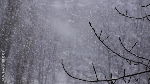 Winter Snowflakes Snow Background Video...You can use this snowing video in your original cold season projects or as websites background