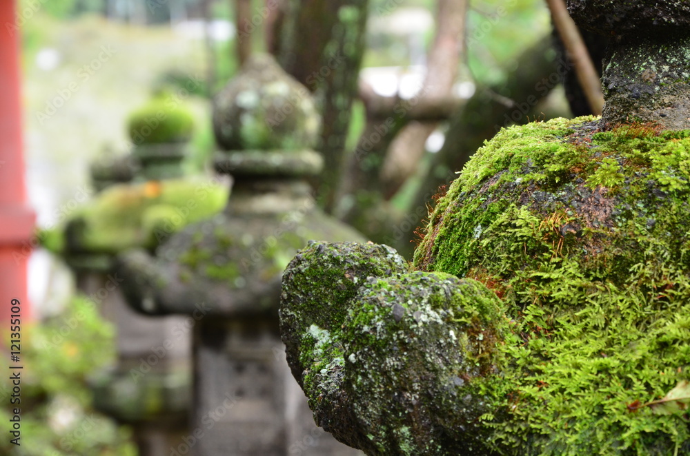 雑草 魂 たくましさ 灯篭 雑草 魂 たくましさ 灯篭