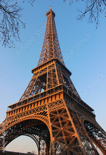 Paris, France, Eiffel tower © belletatyana