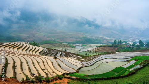 Beautiful terraced rice field in Hoang Su Phi in Vietnam