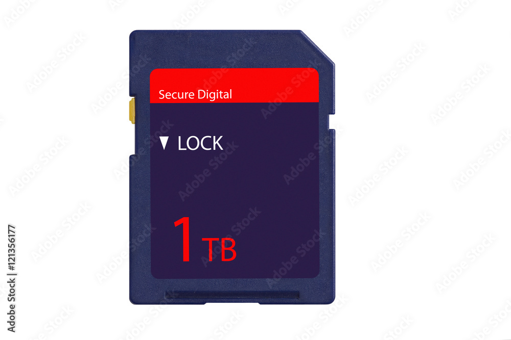 New one terabyte SD memory card isolated on white background Stock