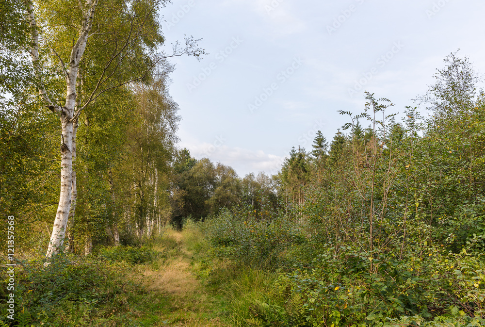 Im Naturschutzgebiet Niedersandhausen Im Naturschutzgebiet Niedersandhausen