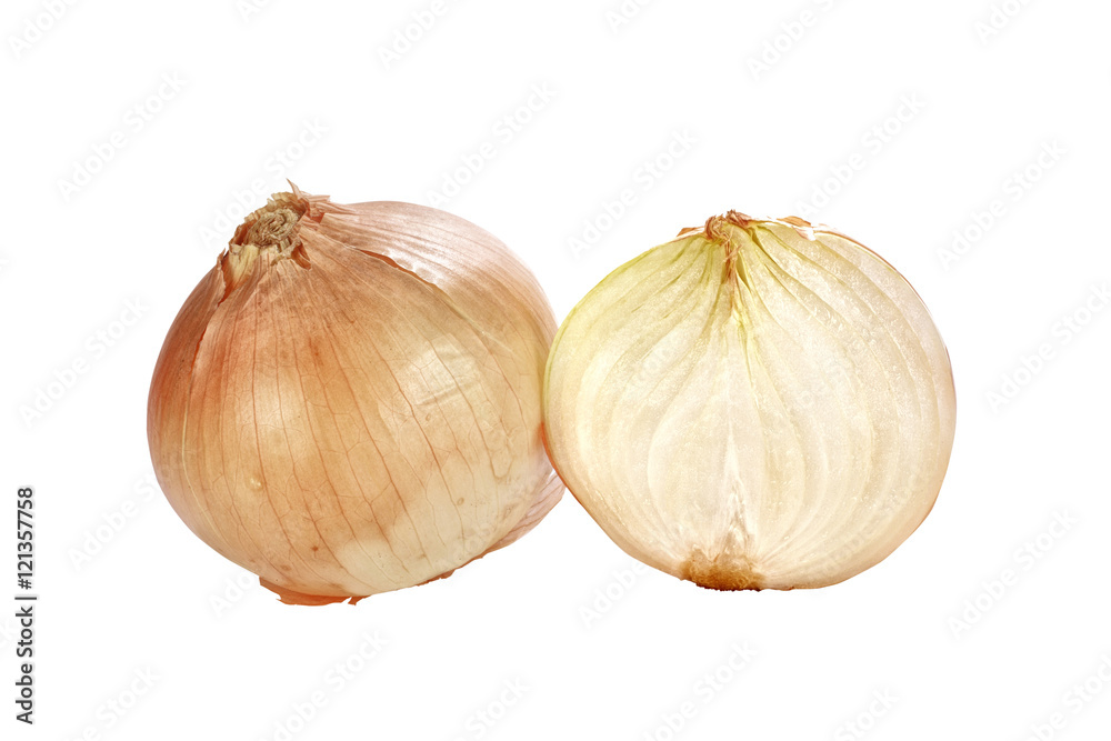 Obraz premium close up shot of onions