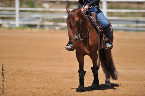 The front view of the rider on horseback © PROMA