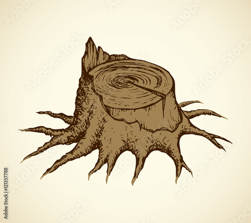 Old tree stump. Vector sketch