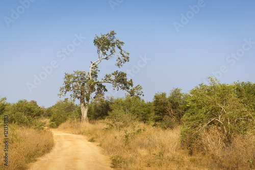 sri lanka landscape